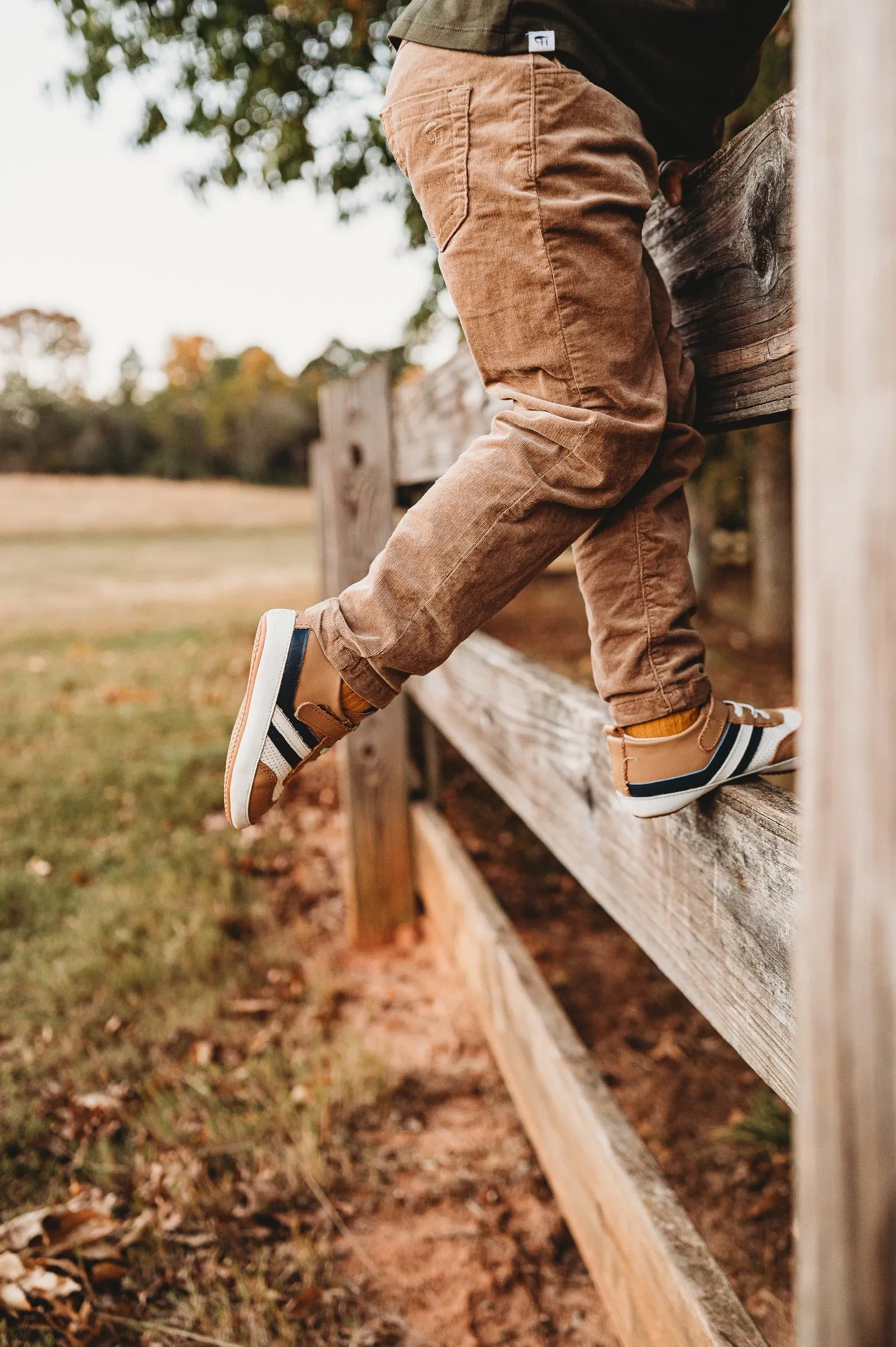 Pre-Order Brown and Navy Henry Low Top